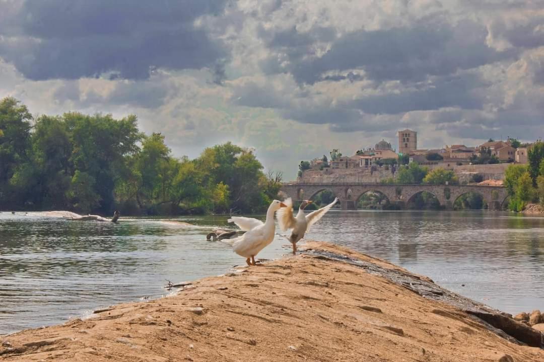 Appartamento A Los Ojos Del Rio Duero Zamora Esterno foto