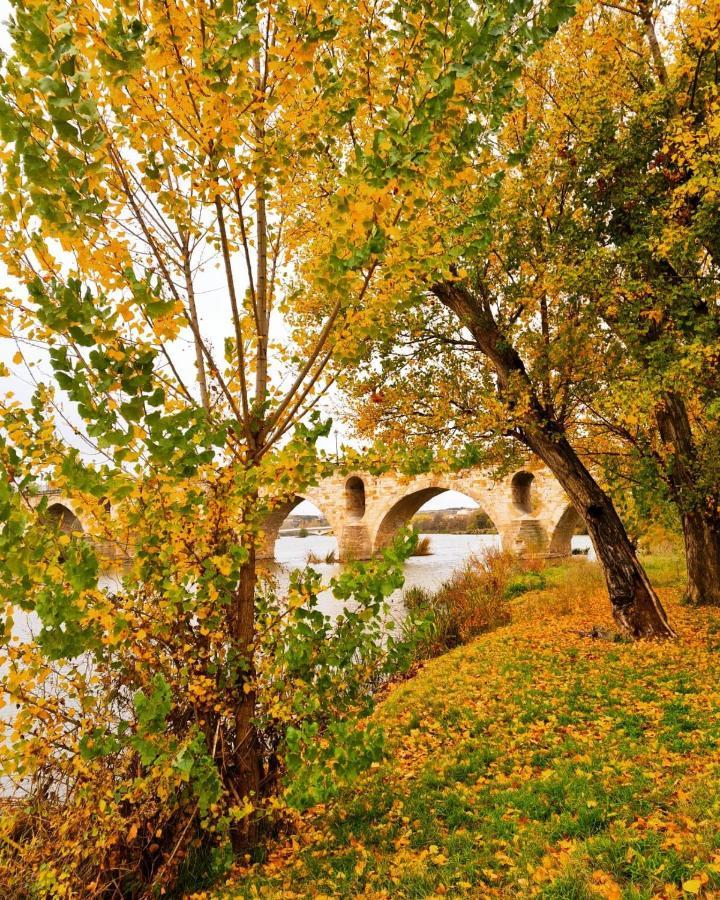 A Los Ojos Del Rio Duero Zamora Esterno foto