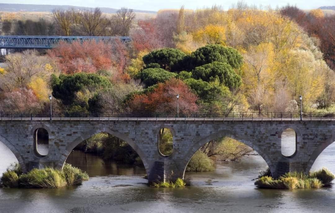 A Los Ojos Del Rio Duero Zamora Esterno foto