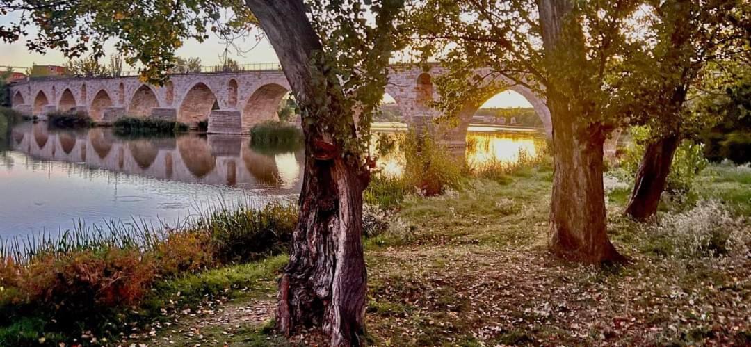 Appartamento A Los Ojos Del Rio Duero Zamora Esterno foto