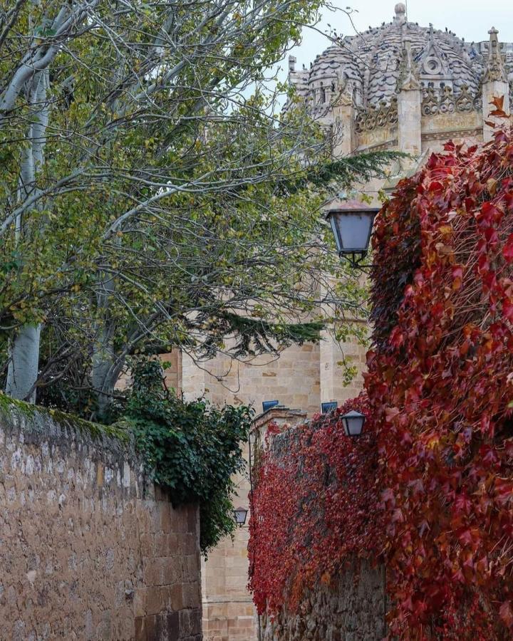 Appartamento A Los Ojos Del Rio Duero Zamora Esterno foto