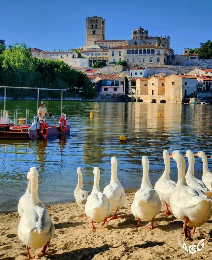 Appartamento A Los Ojos Del Rio Duero Zamora Esterno foto