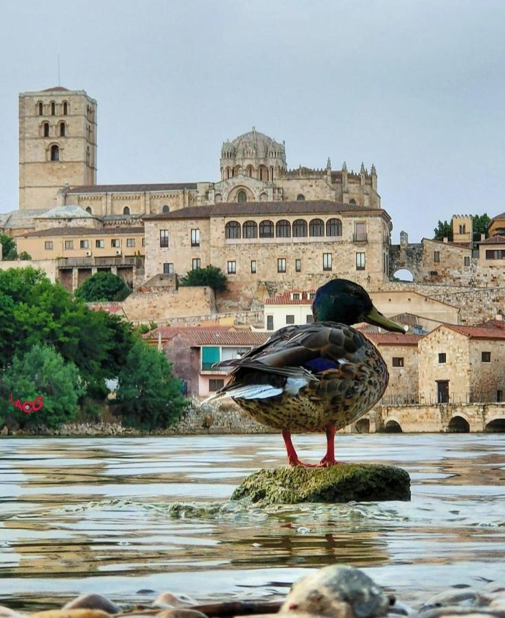 Appartamento A Los Ojos Del Rio Duero Zamora Esterno foto