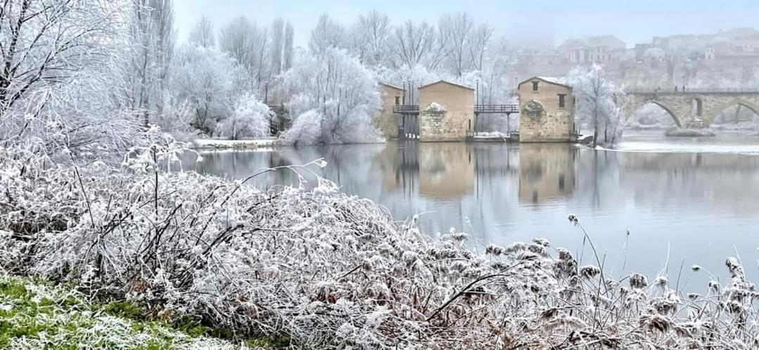 A Los Ojos Del Rio Duero Zamora Esterno foto