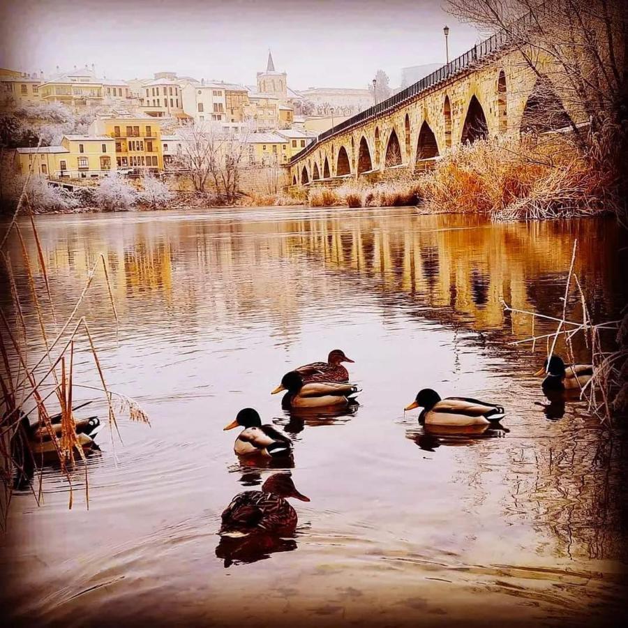 Appartamento A Los Ojos Del Rio Duero Zamora Esterno foto